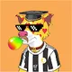 Soccer Doge Club