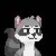 Raccoon Gang