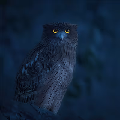 Soul of the Forest by Brijesh Makadia