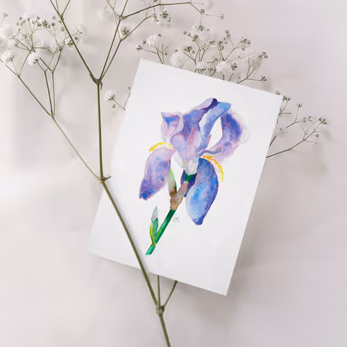 Water and color are flowers