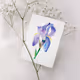Water and color are flowers