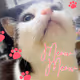 MeoW!!!!!