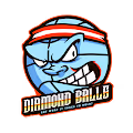 Diamond Balls Landscape