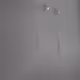Society in dark