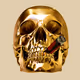 Golden Skull