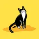 Cat Tuxedo