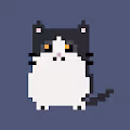 mutantchubbycat