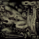 Ghost in the WiFi Fine Art