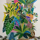 ornamental plant