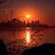 Beyond The Sunrises