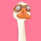 SillyGoose_NFT Collection