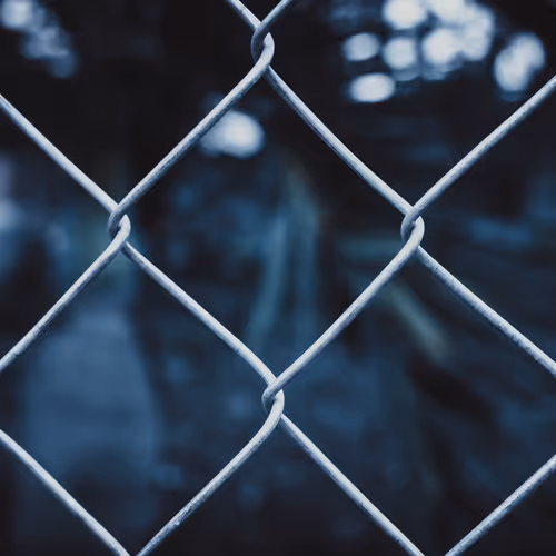 LA JAULA: Tiempo, amor y muerte.