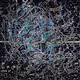 AI Generated Art drops - Collection 1