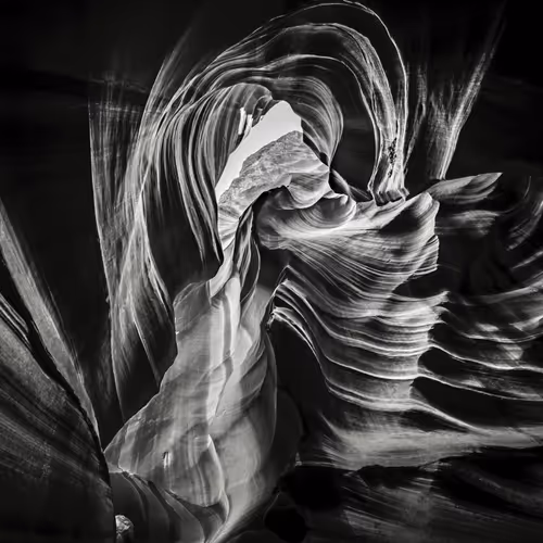 Search of Nature's Harmony