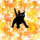 Surprised Black Cat NFT