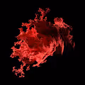 Unnatural Rose