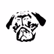 Habibi_the_Pug Collection