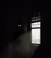 Unseen Reality