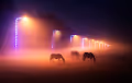 Mysterious morning in Maidan - old