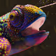 Chameleon Groove