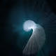 Unfolding...enfolding