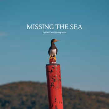Missing The Sea