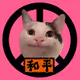 All this cat wants is world peace