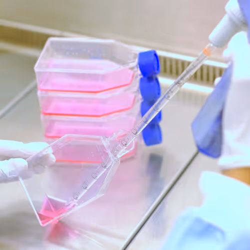 Stem Cell Art - NFT Biology