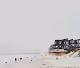 Once by the Pacific