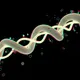 0xDNA