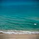 Beach Lifes