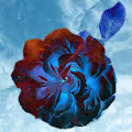 EthMaven's Art Page