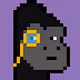 KongPunks