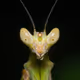World of Macro