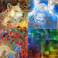 OpenGalaxies Artwork