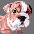 Bullish Bulldogs