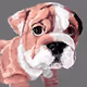 Bullish Bulldogs