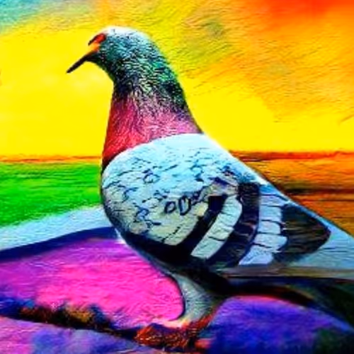 Homing Pigeon