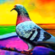Homing Pigeon