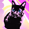 Pop Cats by Chipped Pixels