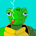 Crypto Turtle$
