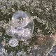 Bubble In Time