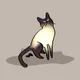 Cat Wichian Mat