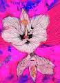 Bloom Baby! - old