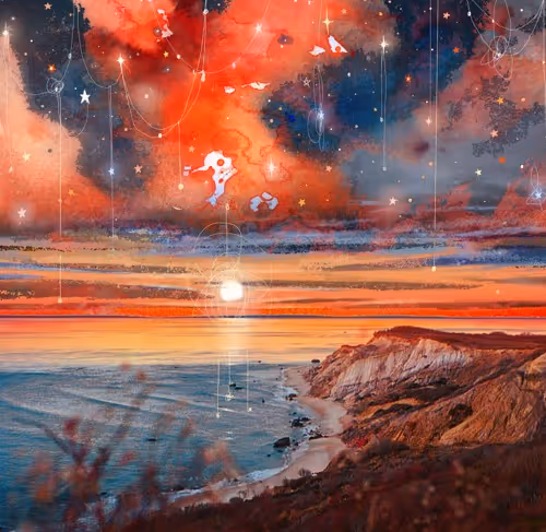 Nevin Johnson X Holly Herbert Editions