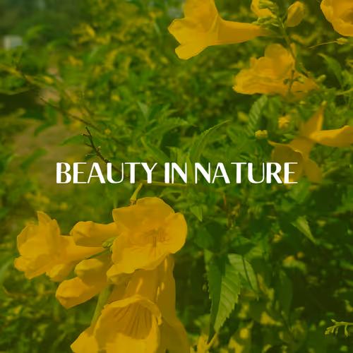Beauty in nature_ - old