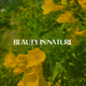 Beauty in nature_ - old