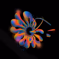 !fundrop #3: My Lil Spawn by Shawna X