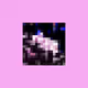 PIXLE NFT Society