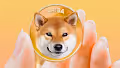 Shiboshis Shiba Inu DOGE SHIB